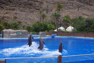 GC-Plalmitos Park 2019-098.JPG